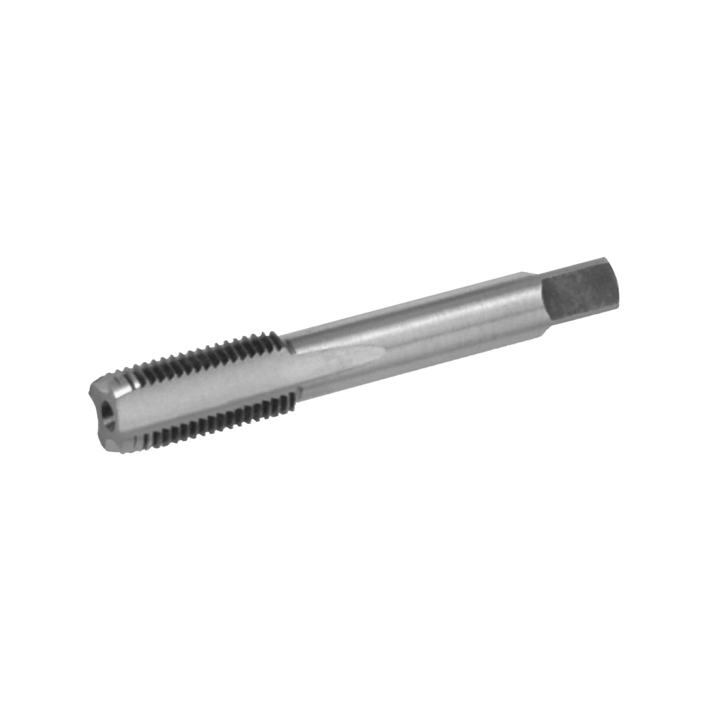 Taraud Cyclus M5 pour porte-bidon