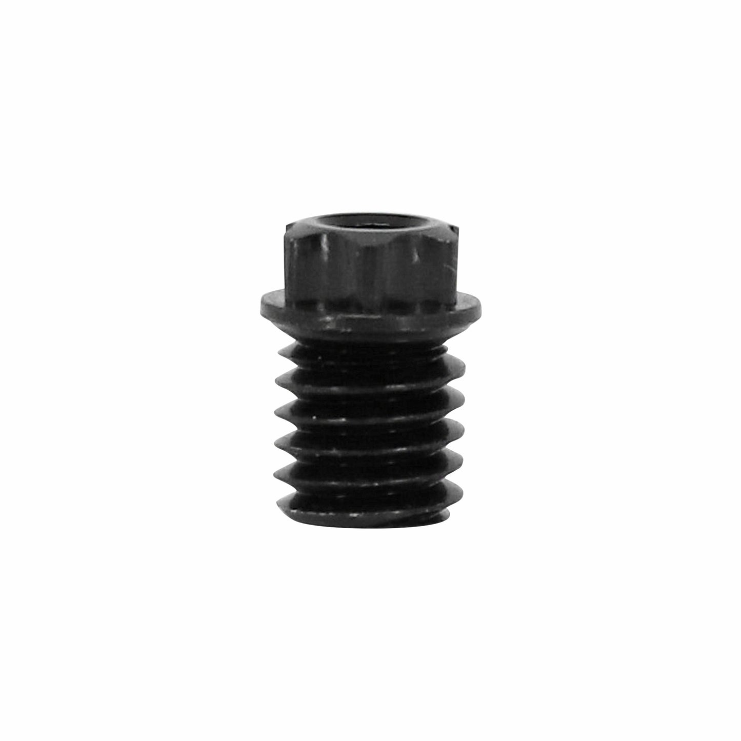 Écrou rayon DT Swiss Torx M5 noir (unité)