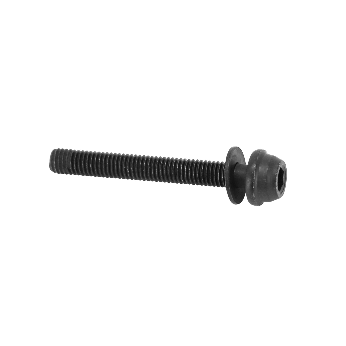 Vis pour frein disque route Shimano flatmount 30mm (vendu à l'unité)