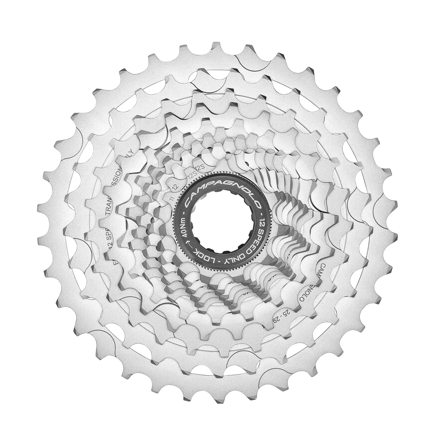 Cassette 12v. Campagnolo chorus 11-29 (11-12-13-14-15-16-17-19-21-23-26-29)