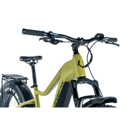 Electric mountain bike Fat Bike 26 Leader Fox Brasa green Panasonic GX 20Ah