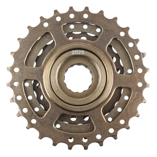 6v freewheel. bronze 14-28 Newton