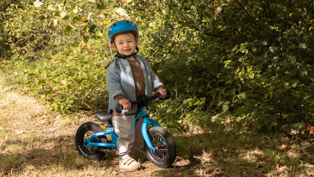 Draisienne ou tricycle : quelles différences ?