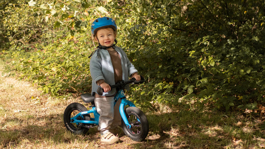 Draisienne ou tricycle : quelles différences ?