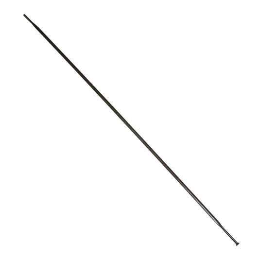 Rayon DT Swiss Competition noir tête droite 295 mm