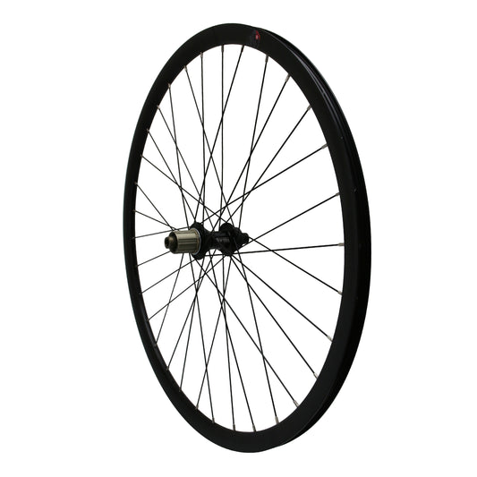 Roue PCP gravel disque 700 Pulse 19 arrière moyeu roulement centerlock