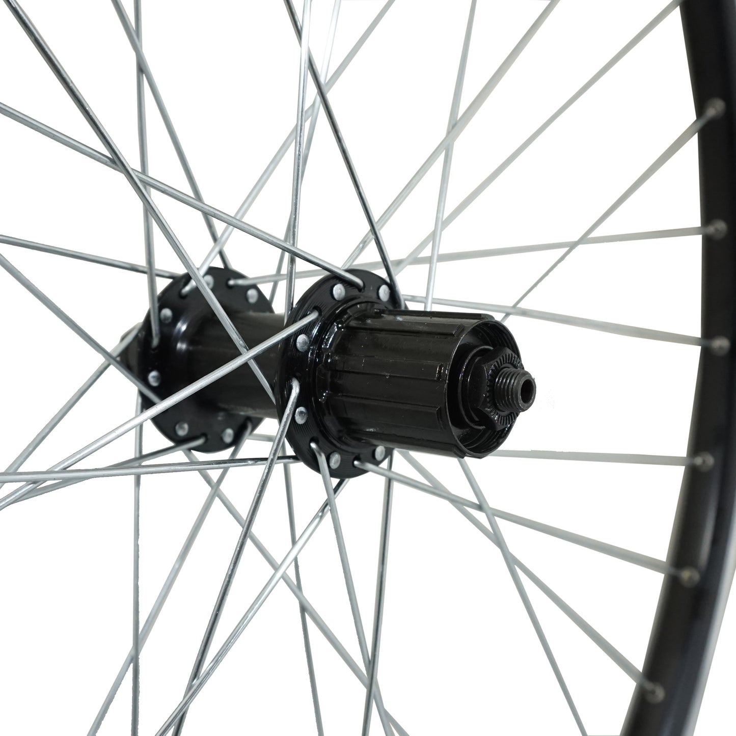 Roue VTC Velox cargo patin blocage M840 arrière cassette