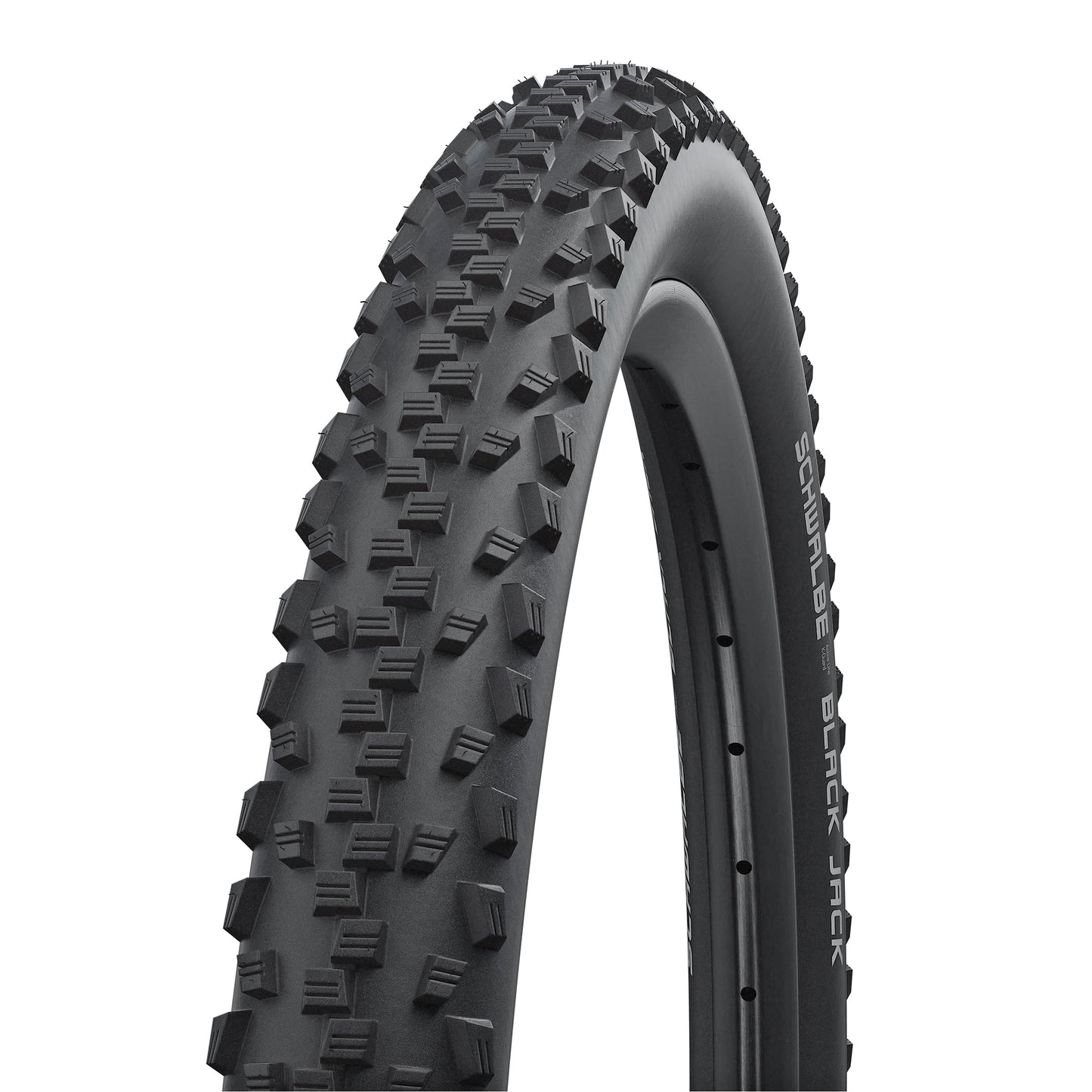 Pneu VTT 24 X 1.90 Schwalbe Black Jack Noir TR (50-507)