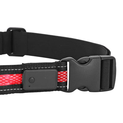 USB bicycle light belt with remote control 2 flash and continuous modes PCP