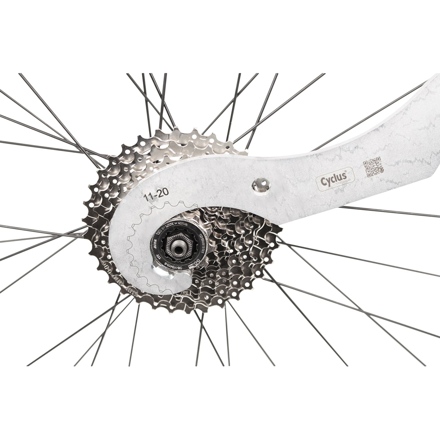Fouet Cyclus pour pignons 11-20-21-28D 12V