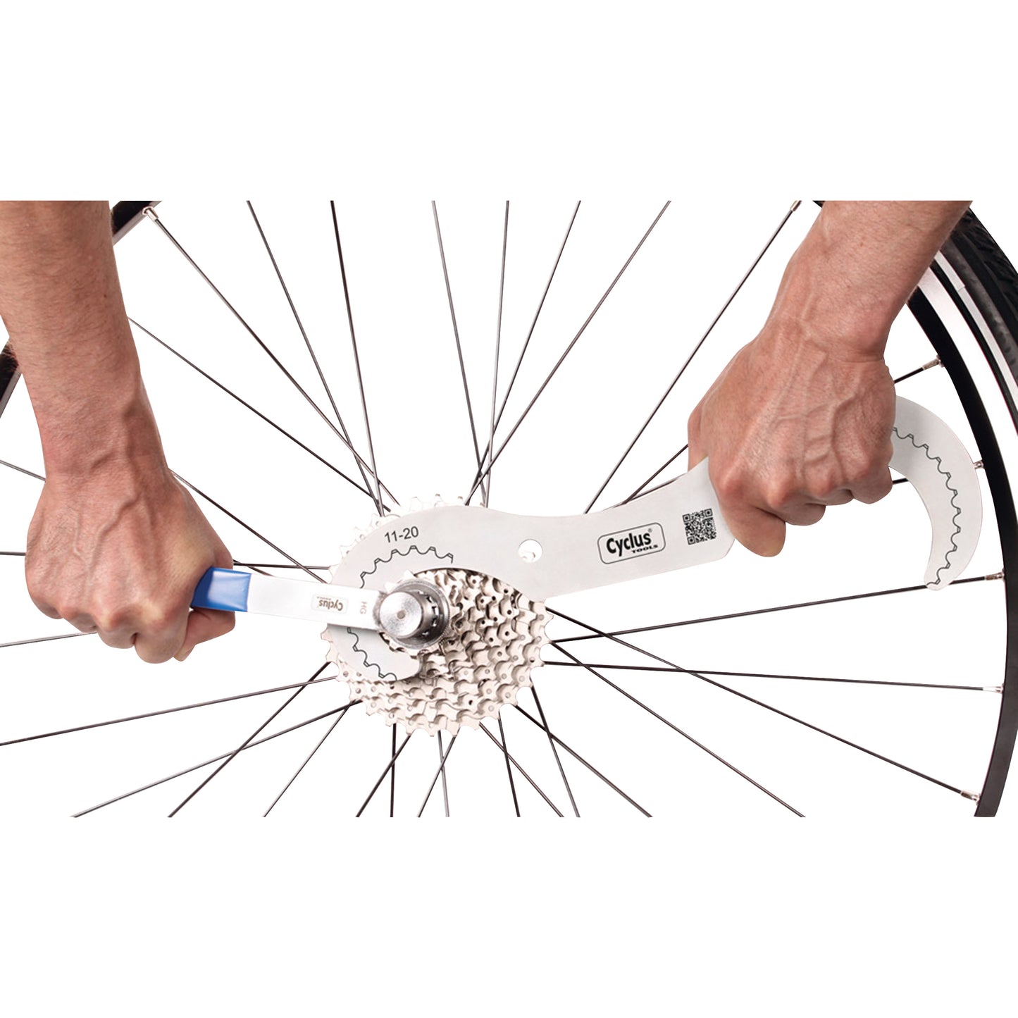 Fouet Cyclus pour pignons 11-20-21-28D 12V