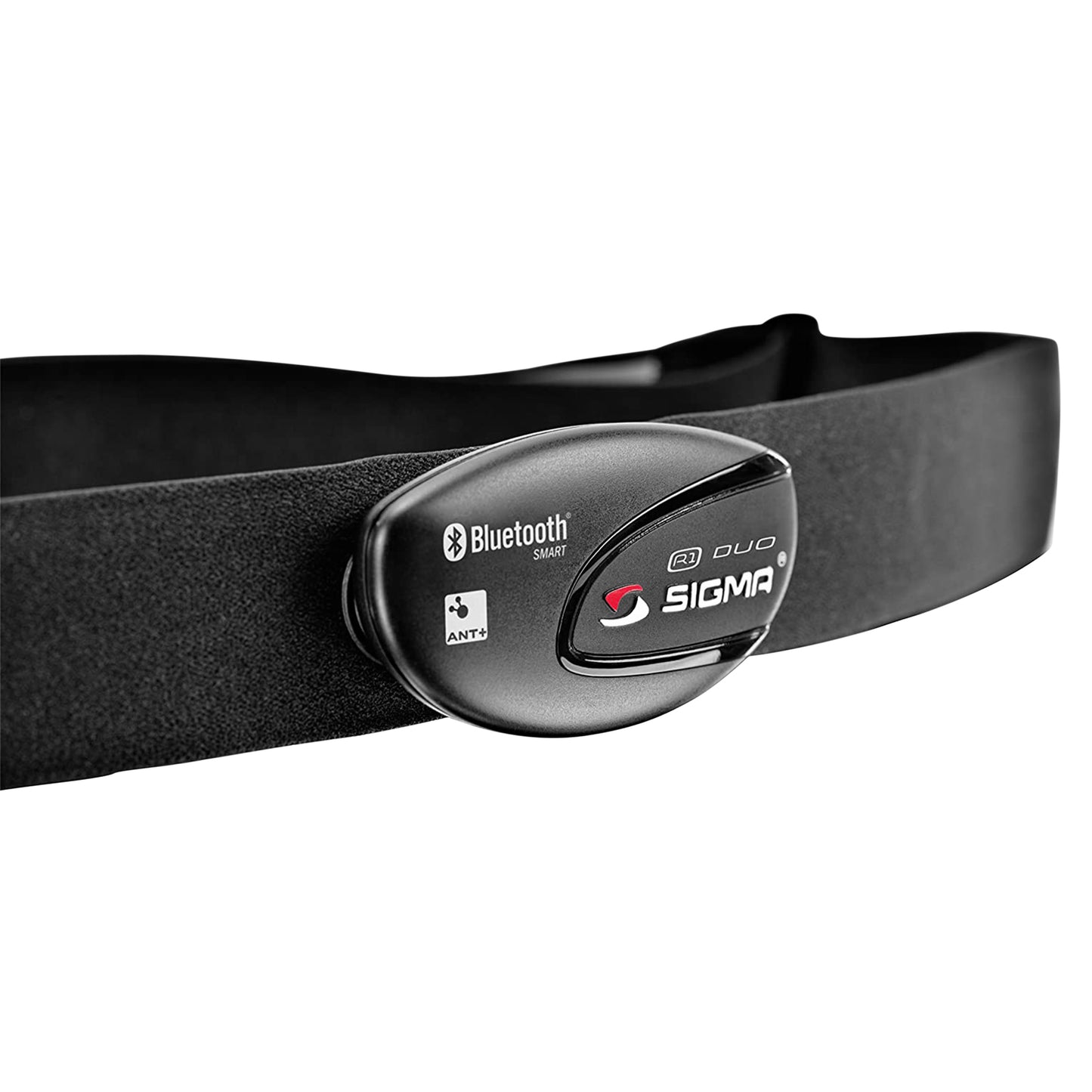 Sigma complete cardio belt with transmitter