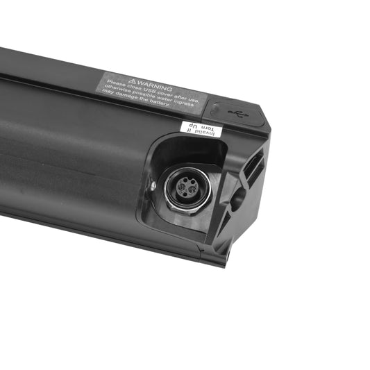 Leader Fox ZZ250 2018 models 36V 16Ah Battery