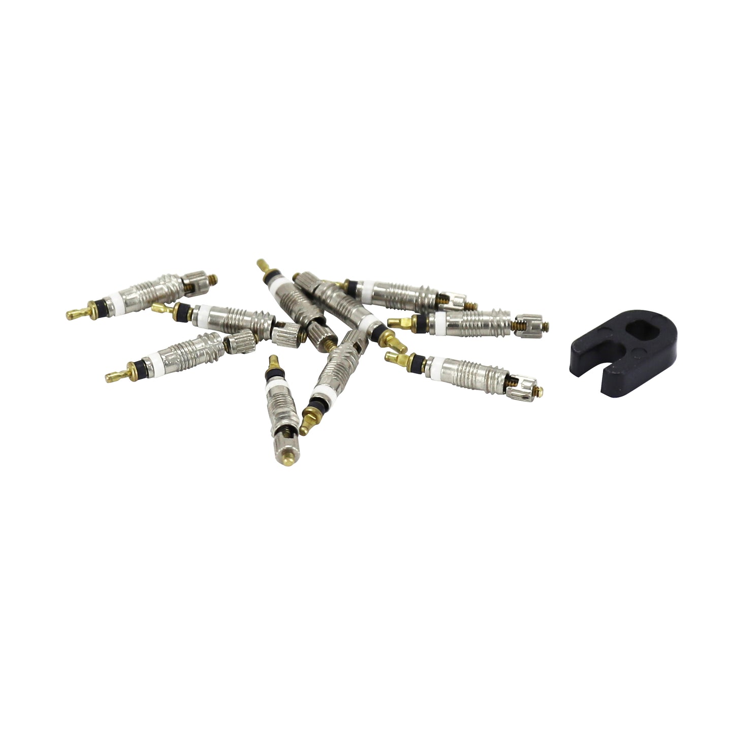 Corps de valve tubeless Newton Presta