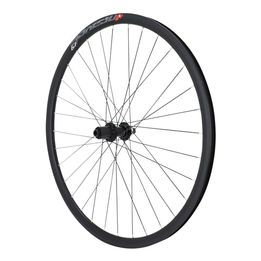 Roue PCP gravel disque 700 Pulse 19 arrière moyeu Shimano RS470