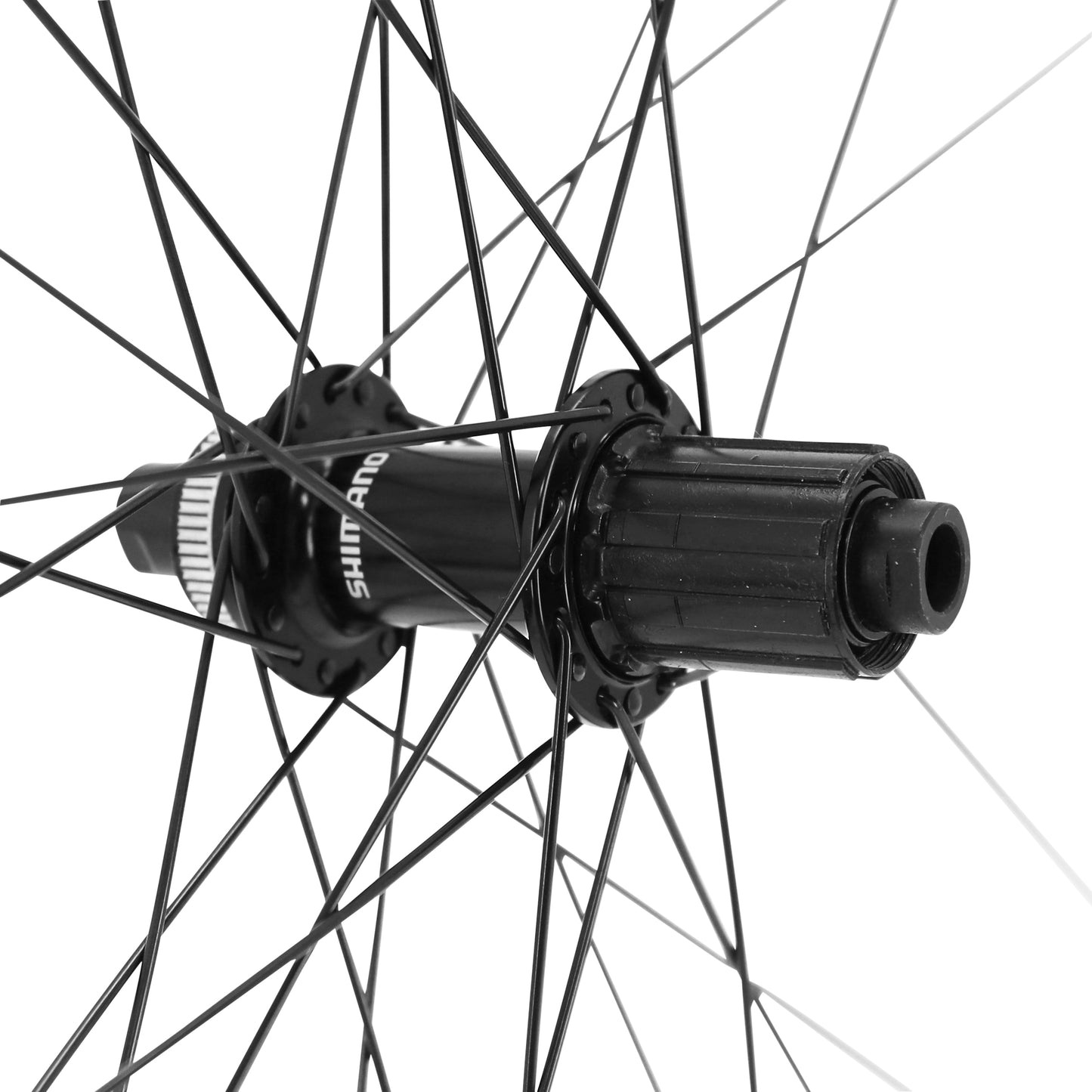 Roue PCP gravel disque 700 Pulse 19 arrière moyeu Shimano RS470