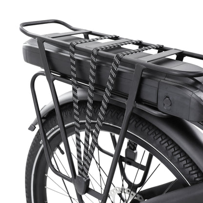 Vélo électrique cargo 20-26 Leader Fox Family One Bafang M420 20Ah