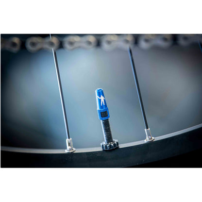 Michelin tubeless Presta valve cap or