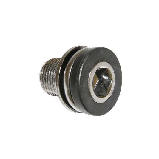 Vis de boîtier de pédalier Algi 12x100 (00343000) (vendu à l'unité)