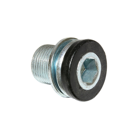 Vis de boîtier de pédalier Algi 14x100 (00344000) (vendu à l'unité)