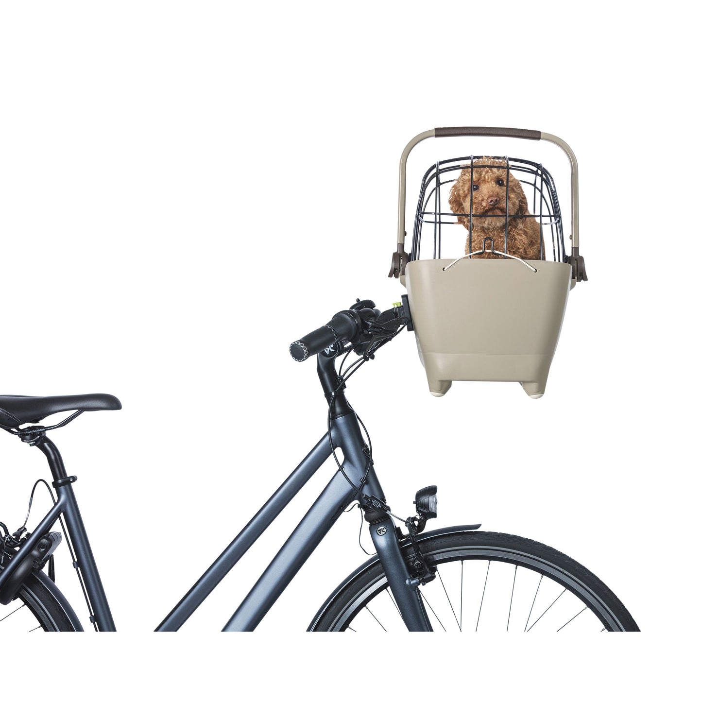 Panier avant plastique Basil Buddy marron pour chien