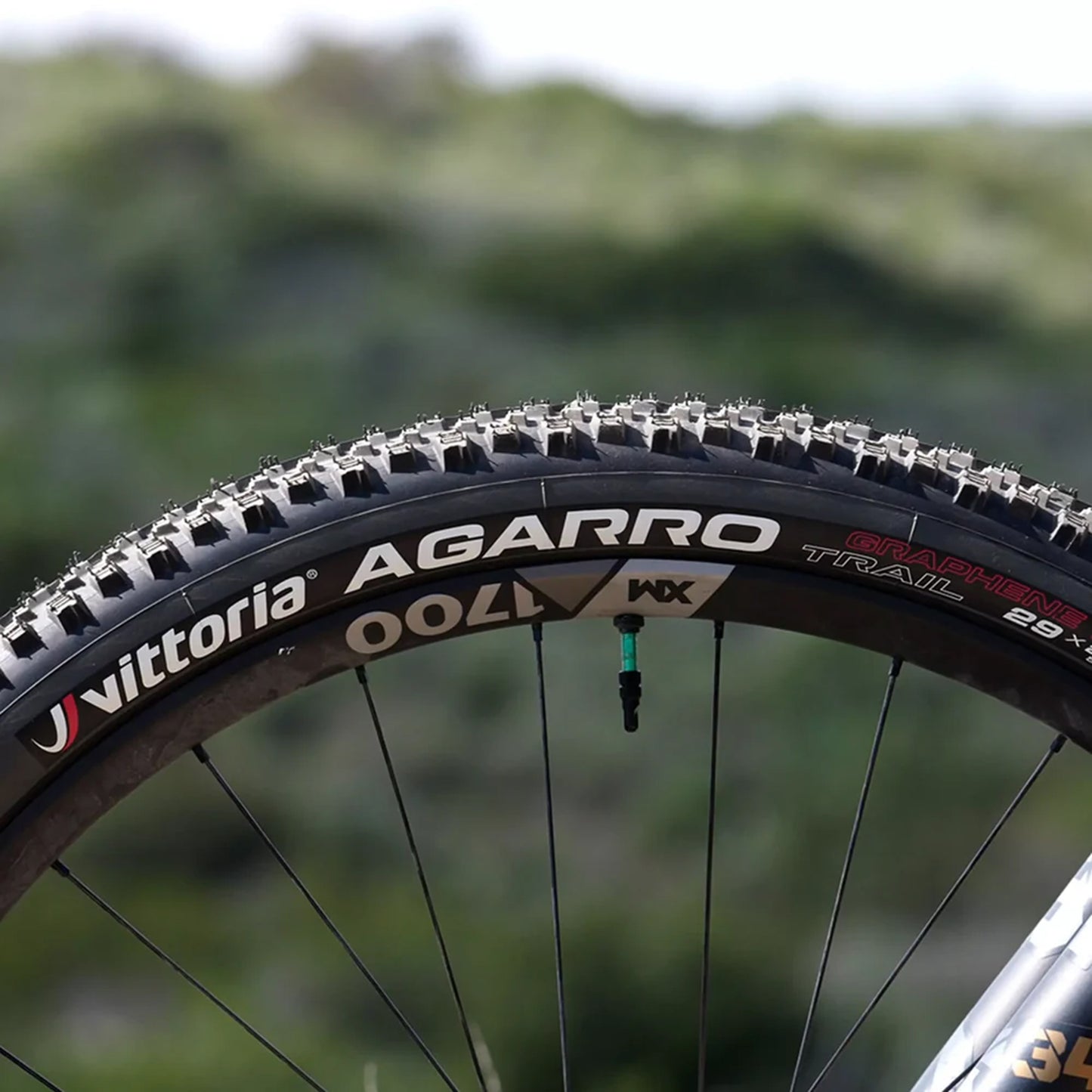 MTB Enduro Tire 29 X 2.40 Vittoria Agarro Graphene 4C Anthracite-Black Tubeless Ready TS (60-622) -All-around Terrain-