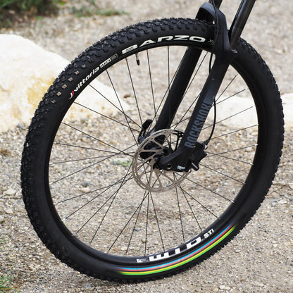 Pneu VTT 29 X 2.35 Vittoria Barzo UCI Rainbow Noir Tubeless Ready TS (57-622) -Terrain Mixte-