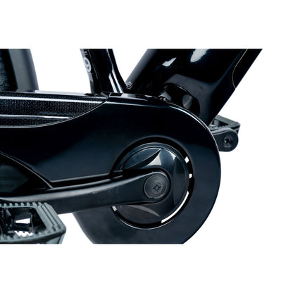 Electric trekking bike 29 Leader Fox Sandy H black Bafang AR 20Ah