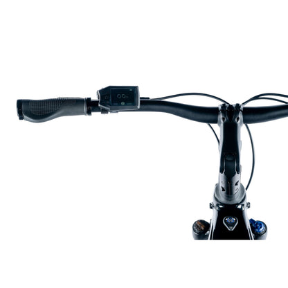 Electric trekking bike 29 Leader Fox Sandy H black Bafang AR 20Ah