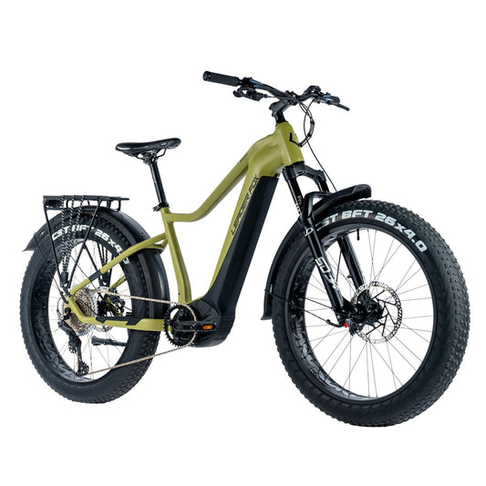 Electric mountain bike Fat Bike 26 Leader Fox Brasa green Panasonic GX 20Ah