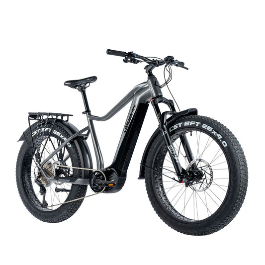 Electric Mountain Bike Fat Bike 26 Leader Fox Brasa Silver Panasonic GX 20Ah