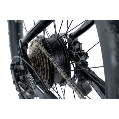 Electric mountain bike 29 Leader Fox Arimo H black Bafang AR 20Ah
