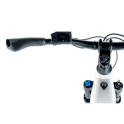 Electric mountain bike 29 Leader Fox Arimo F white Bafang AR 20Ah
