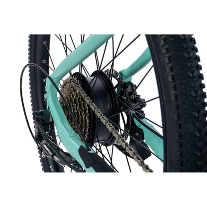 Electric Mountain Bike 29 Leader Fox Arimo F light green Bafang AR 20Ah