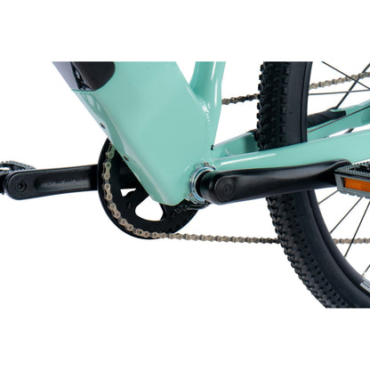Electric Mountain Bike 29 Leader Fox Arimo F light green Bafang AR 20Ah