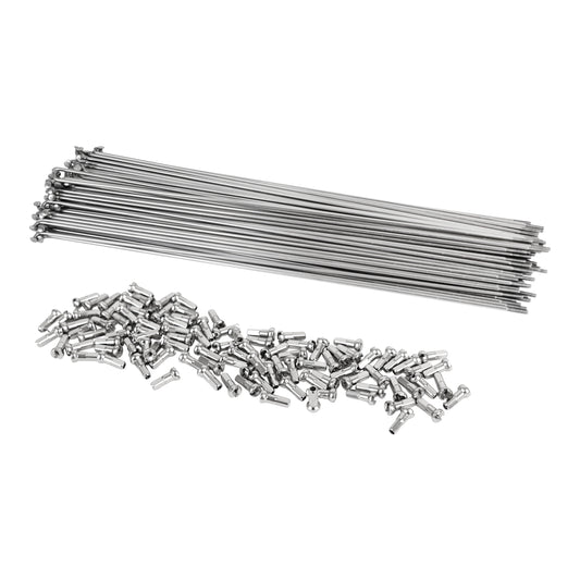 Spoke Velox stainless steel silver Mach1 2 mm 244 mm x100