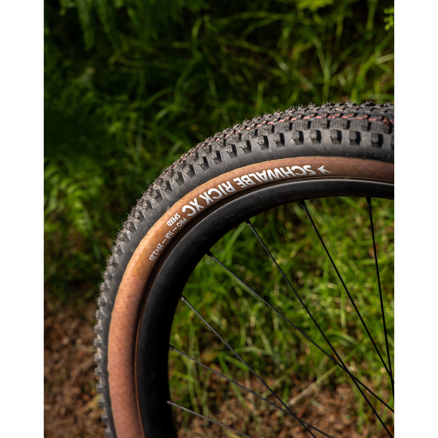 MTB Tire - E-Bike 29 X 2.40 Schwalbe Rick XC Black TLR (62-622) Tubeless Ready Transparent Sidewall E-Bike Approved E25