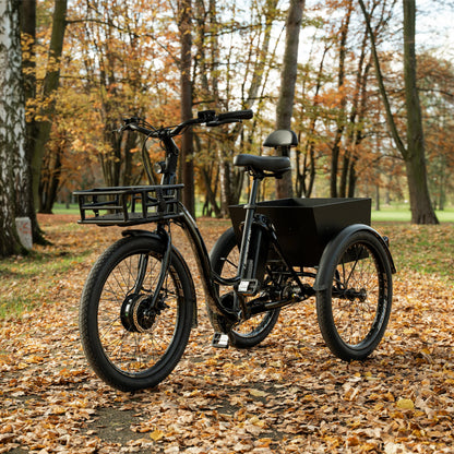 Leader Fox Lovelo 24 2025 Black 3-Speed Bafang Differential Electric Tricycle