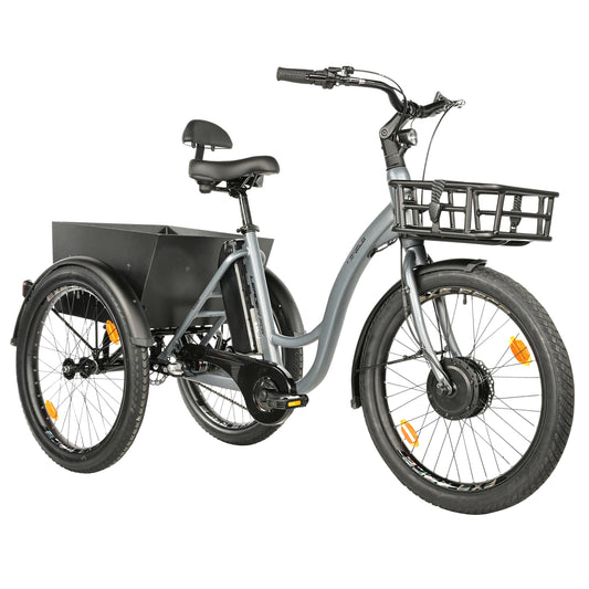 Leader Fox Lovelo 24 2025 Matte Grey 3-Speed Bafang Electric Tricycle