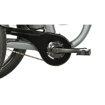 Leader Fox Lovelo 24 2025 Matte Grey 3-Speed Bafang Electric Tricycle
