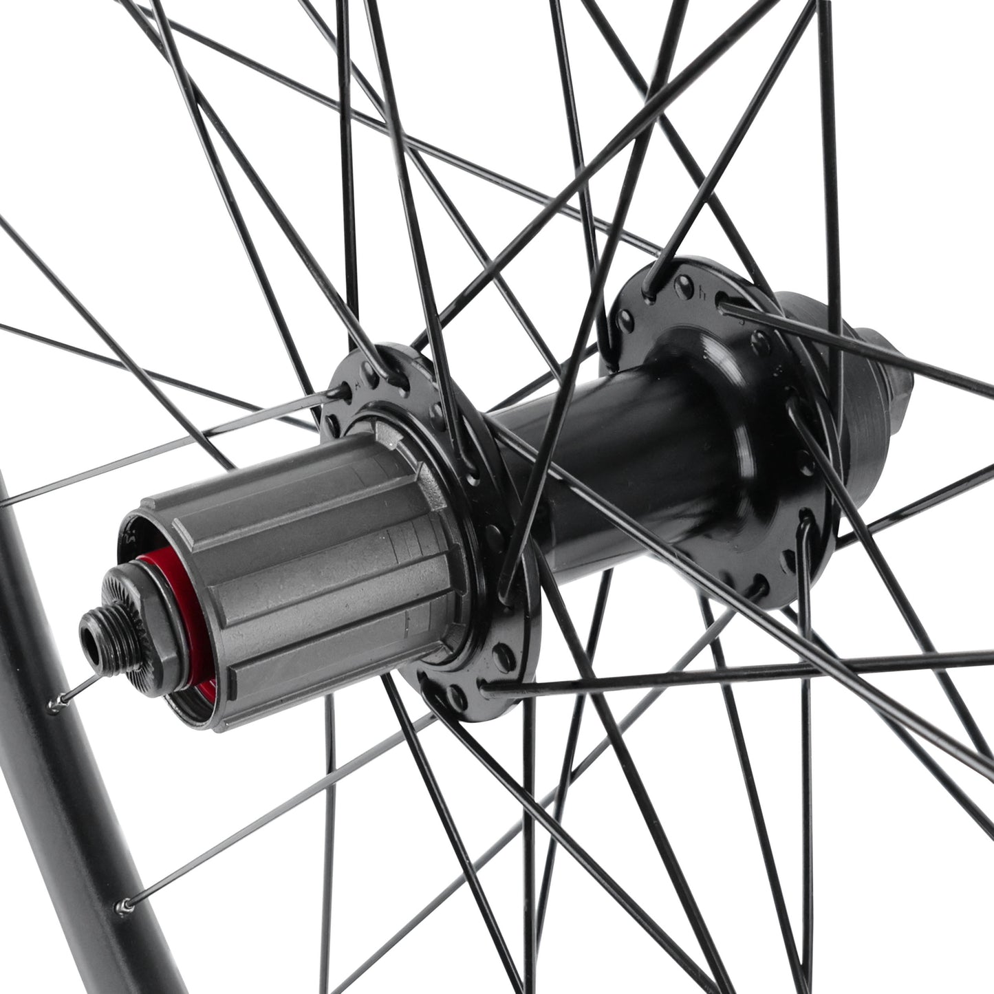 Vélox 700 PULSE 19 Disc Gravel Wheel Rear 11-9S Cassette