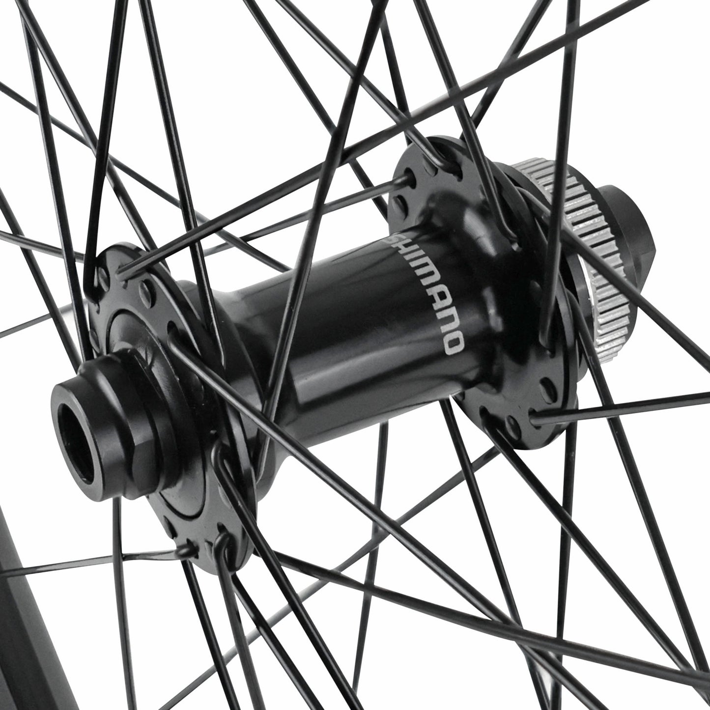 Roue gravel Vélox disque 700 PULSE 23 avant RS470