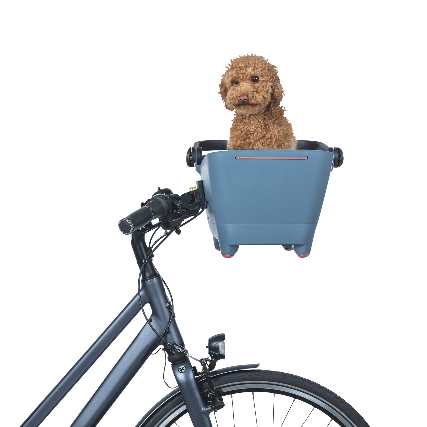 Panier arrière plastique Basil Buddy bleu pour chien