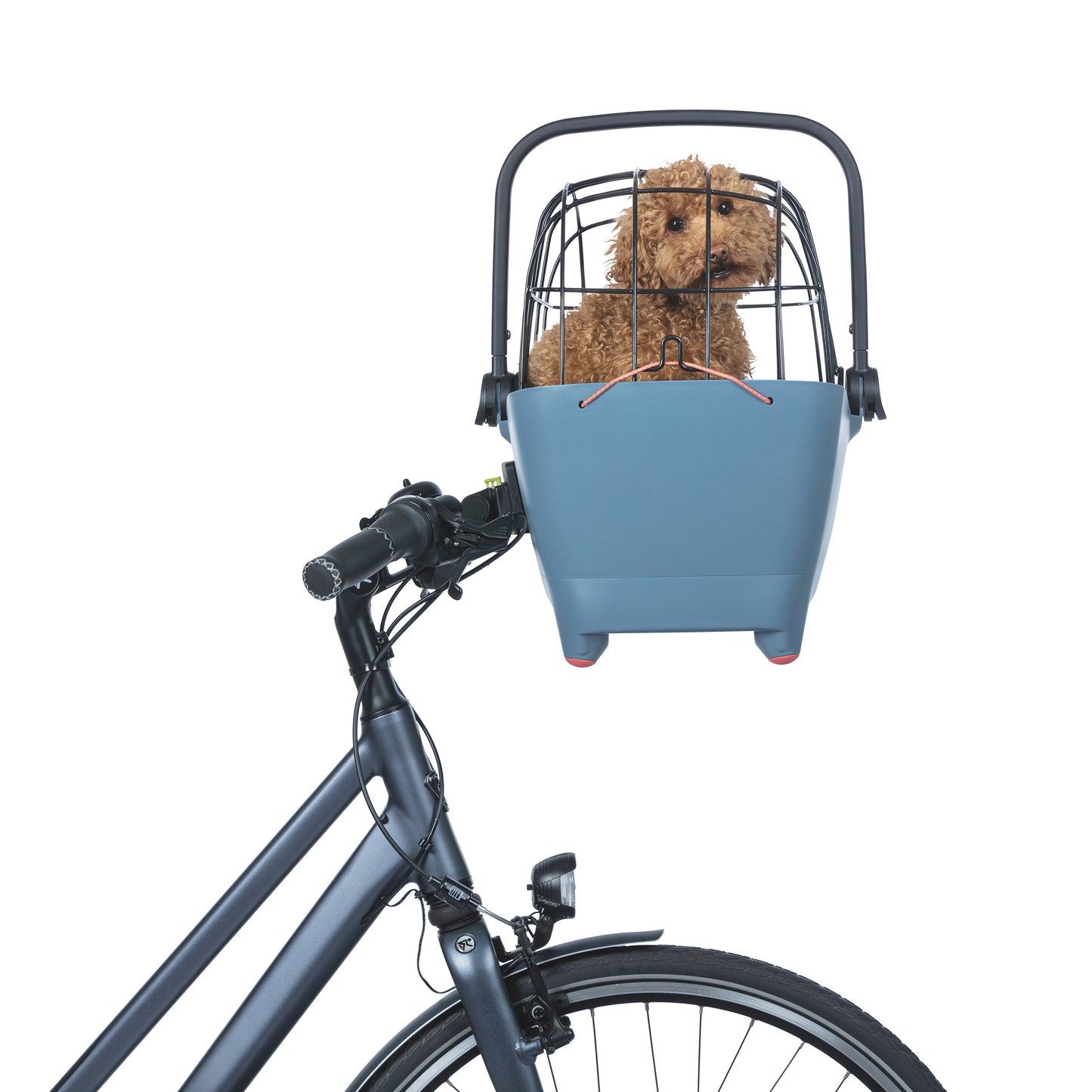 Panier arrière plastique Basil Buddy bleu pour chien
