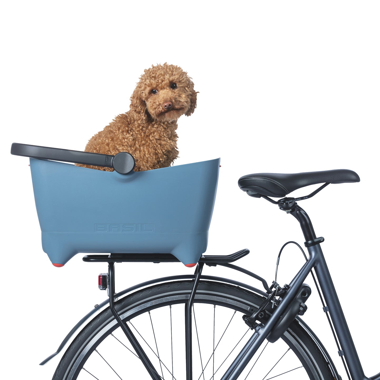 Panier arrière plastique Basil Buddy bleu pour chien