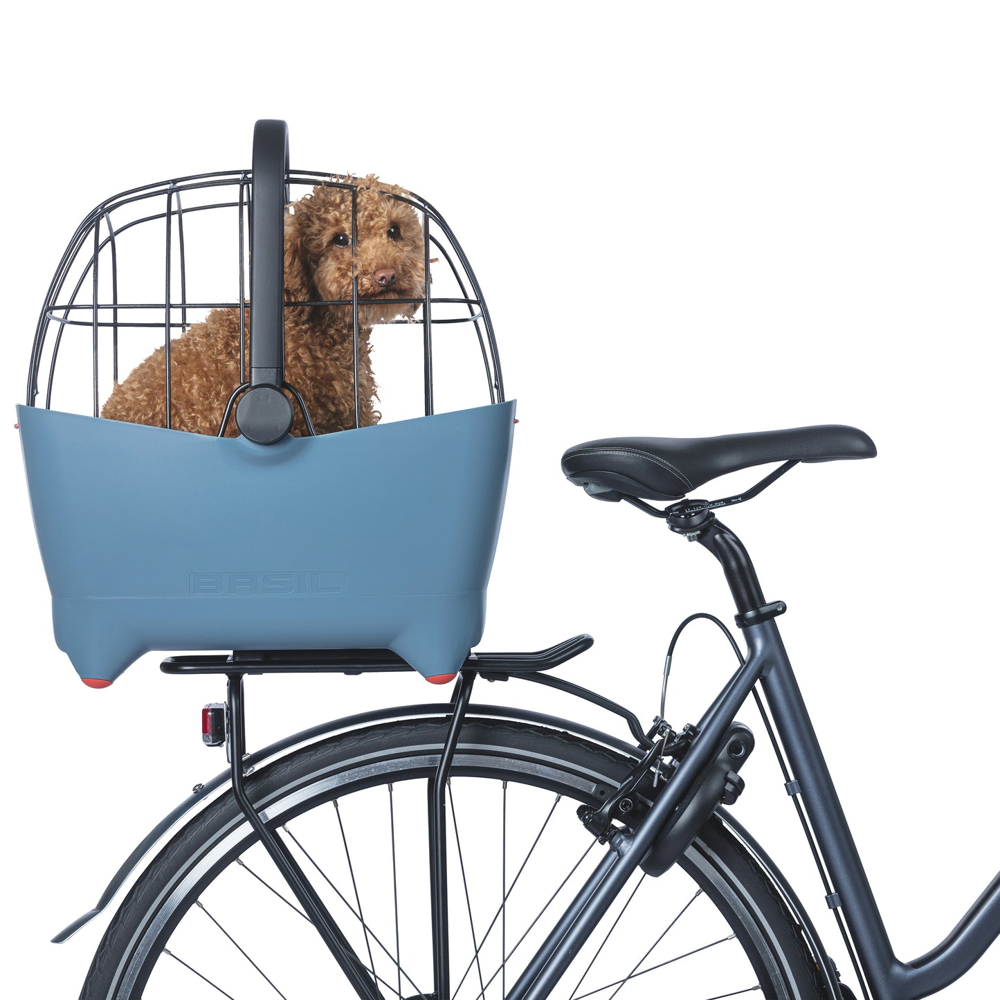 Panier arrière plastique Basil Buddy bleu pour chien