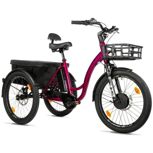 Leader Fox Curtis X 24 2025 burgundy 8S e-tricycle cover