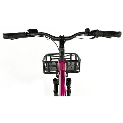 Tricycle VAE Leader Fox Curtis X 24 2025 bordeaux 8V housse